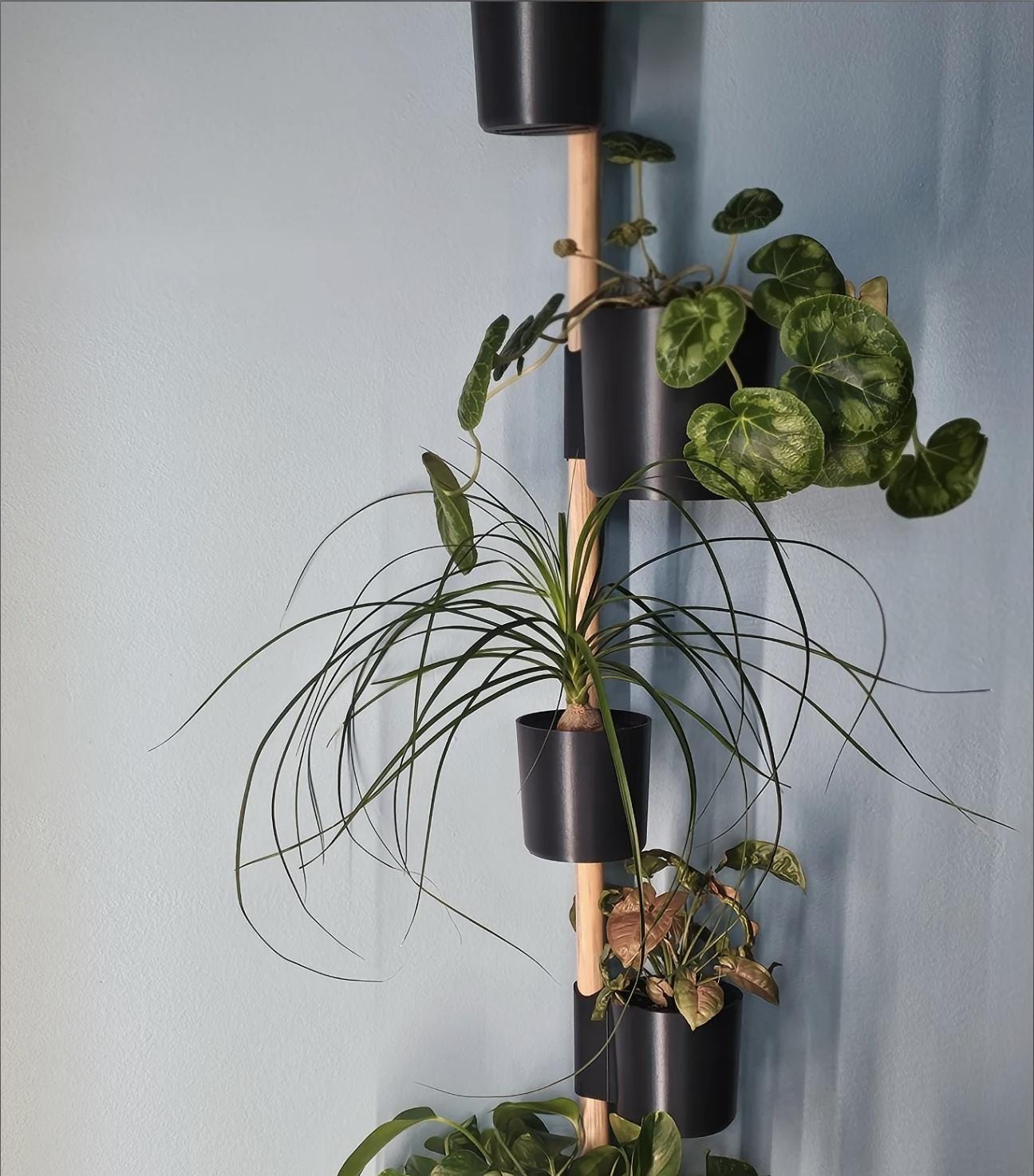 The Rail V2 - Modular Wall Planter – Vertical Herb & Houseplant Display - Pine Dowel Included