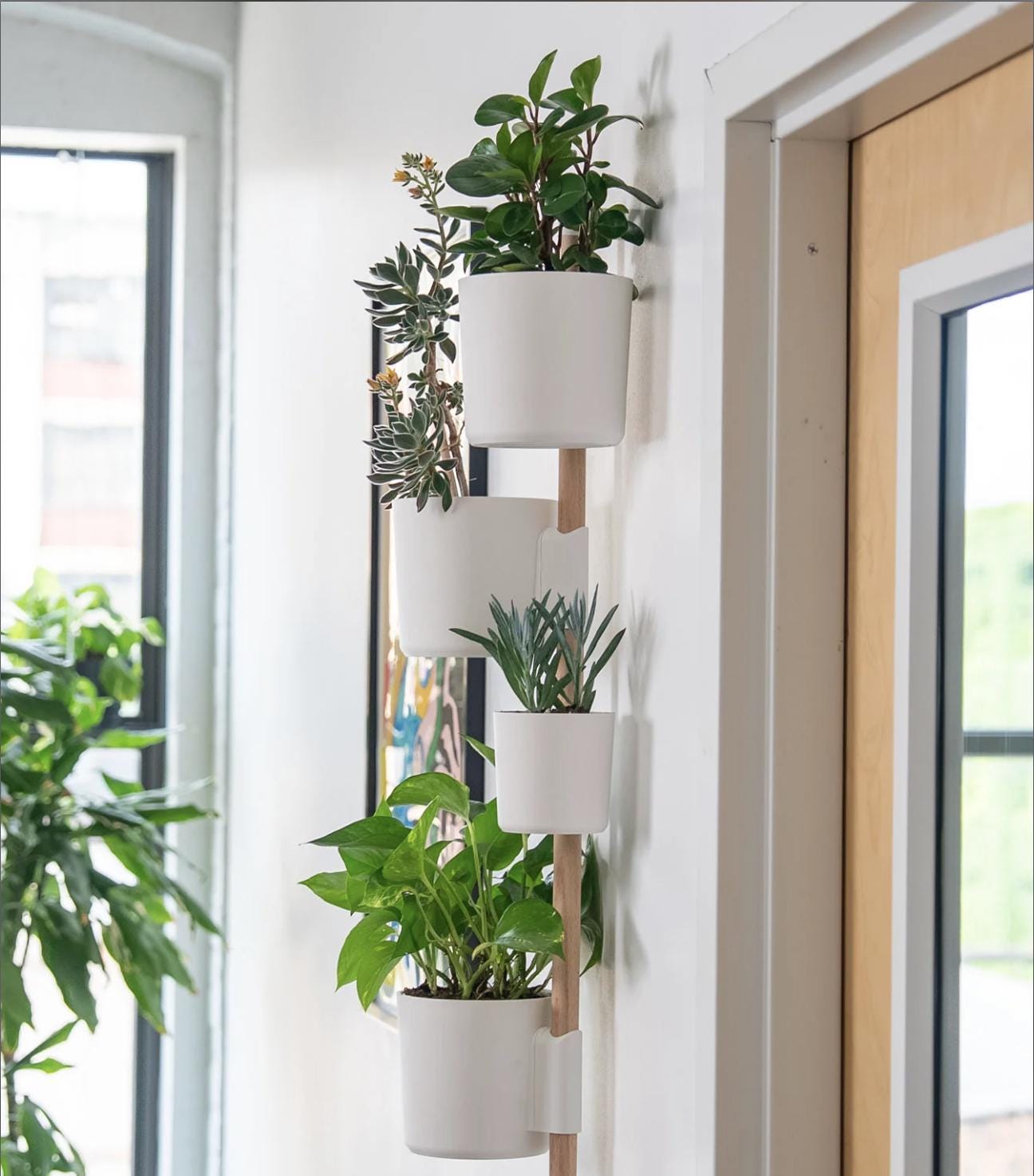 The Rail V2 - Modular Wall Planter – Vertical Herb & Houseplant Display - Pine Dowel Included