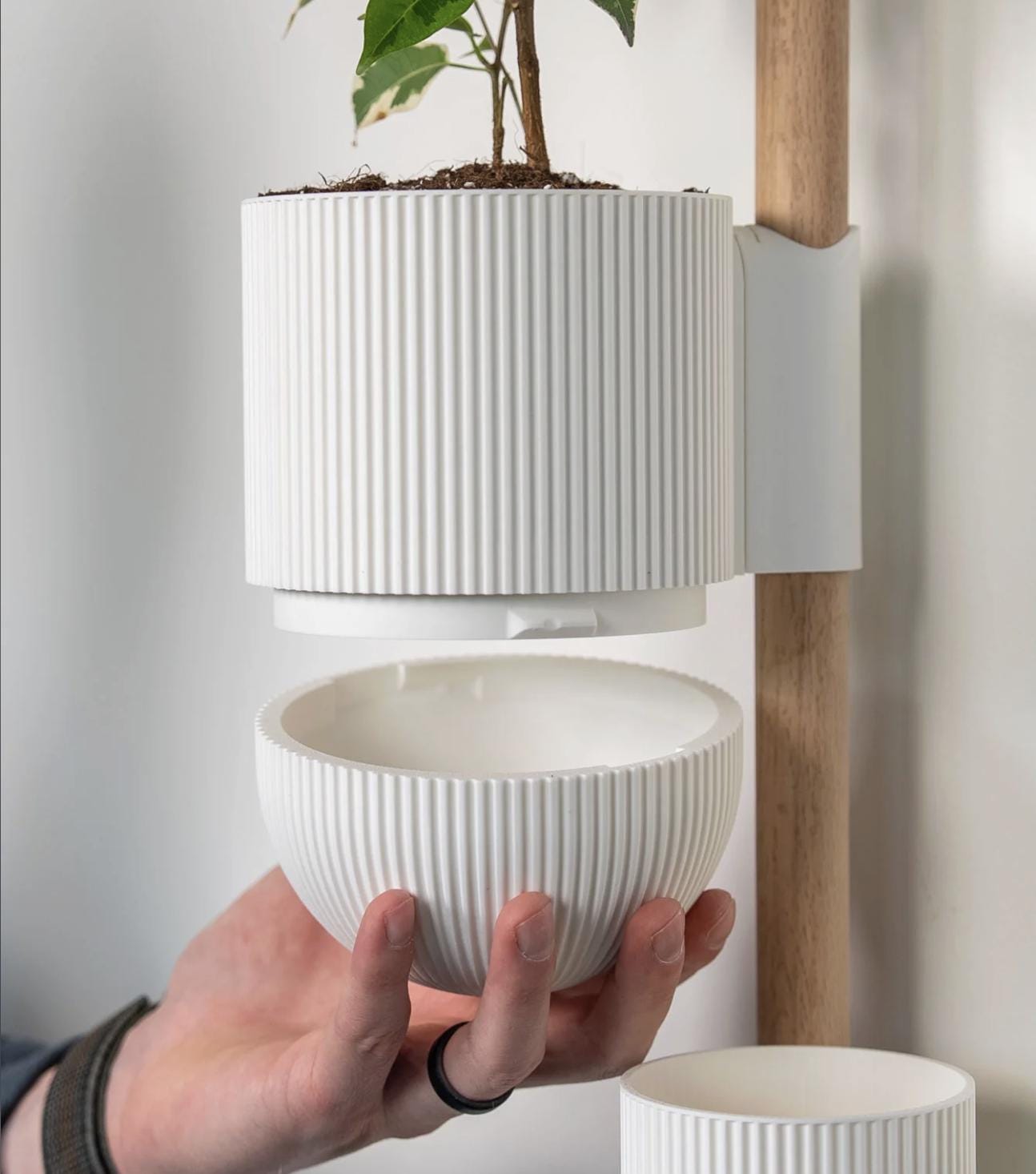 The Ira Vertical Rail Planter: Wall Mounted System (Including Pine Rail Dowel)