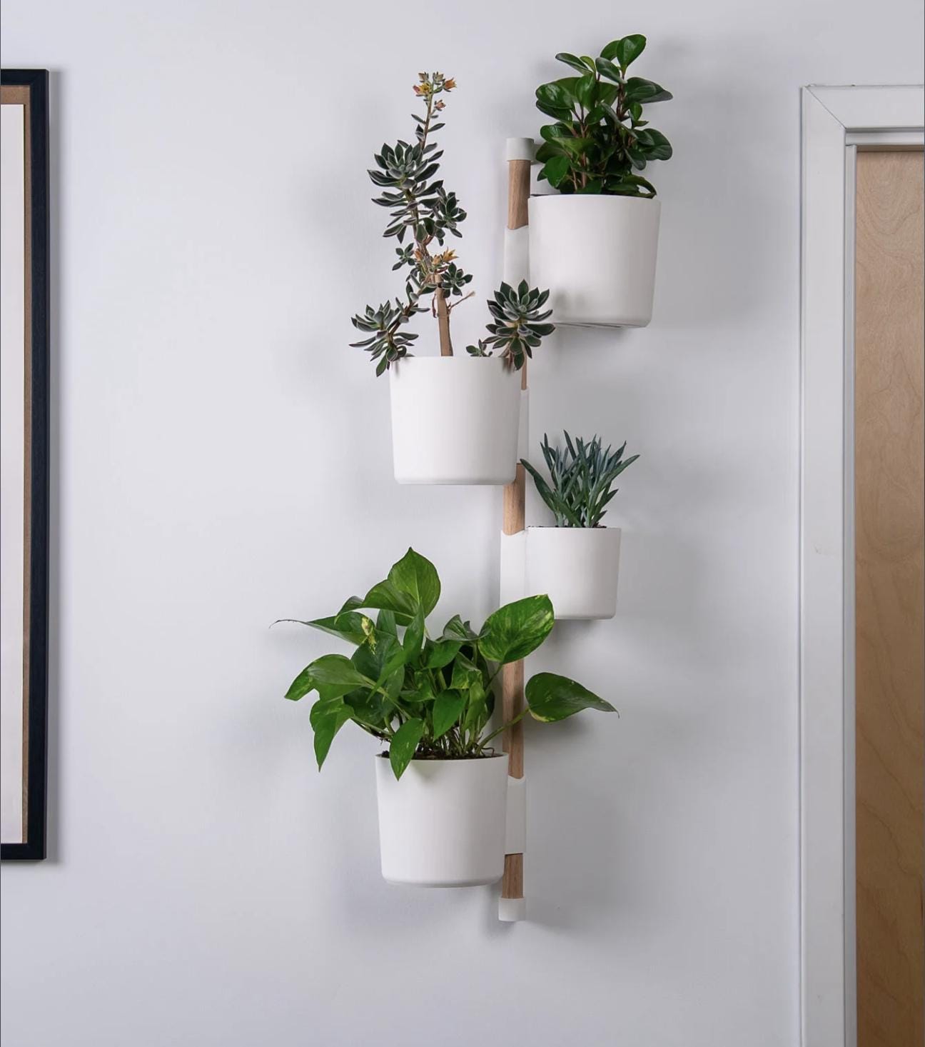 The Rail V2 - Modular Wall Planter – Vertical Herb & Houseplant Display - Pine Dowel Included