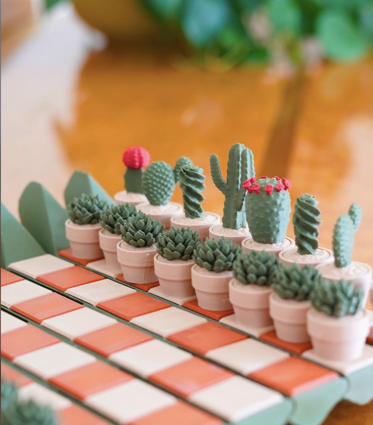 CactiChess – the Roll-Up Cactus Chess Set