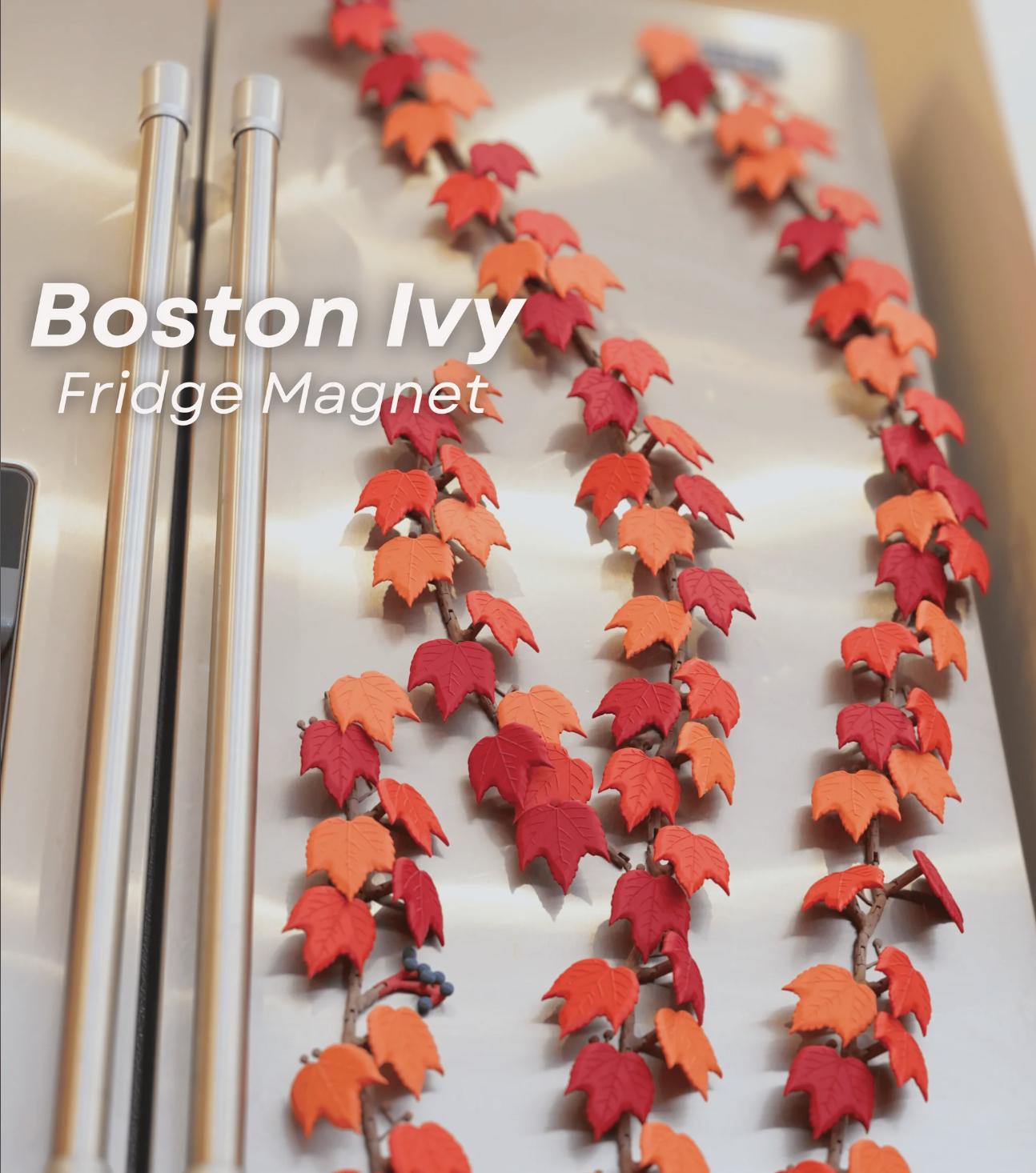 Ivy Fridge Magnet Set – English Green or Autumn Red | Articulated Vine with Magnetic Leaves