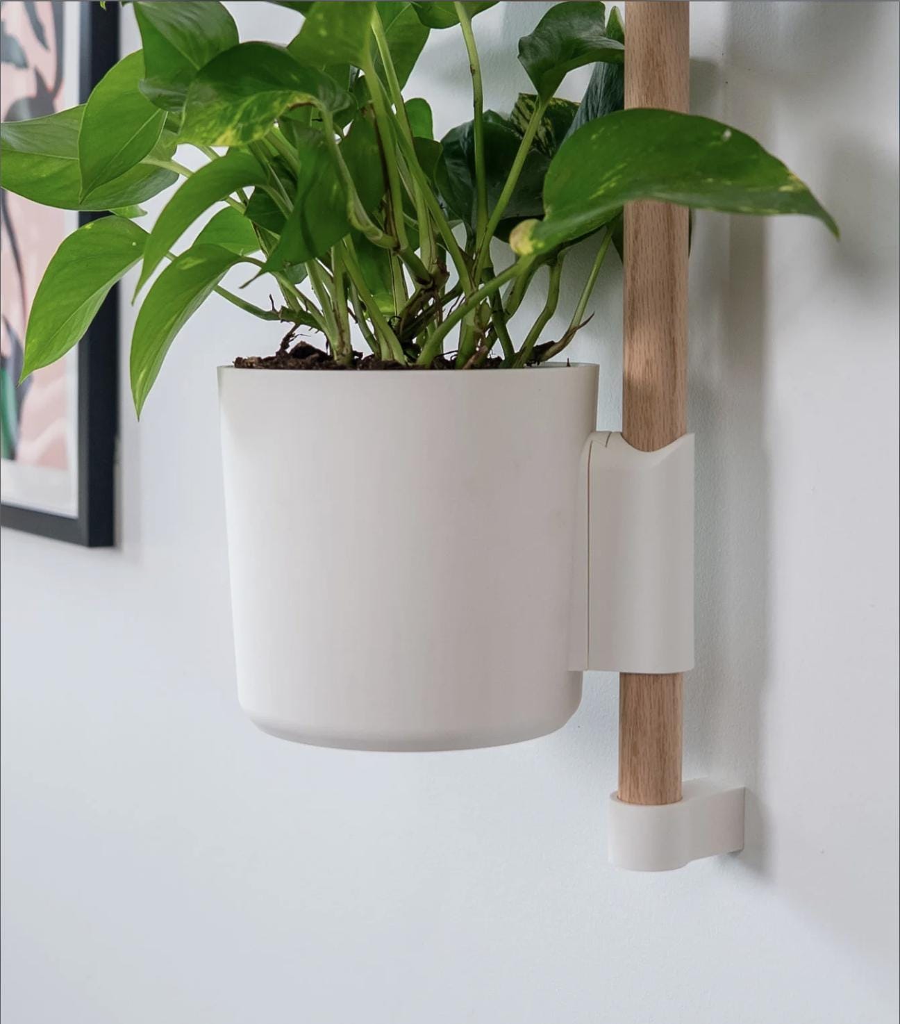 The Rail V2 - Modular Wall Planter – Vertical Herb & Houseplant Display - Pine Dowel Included