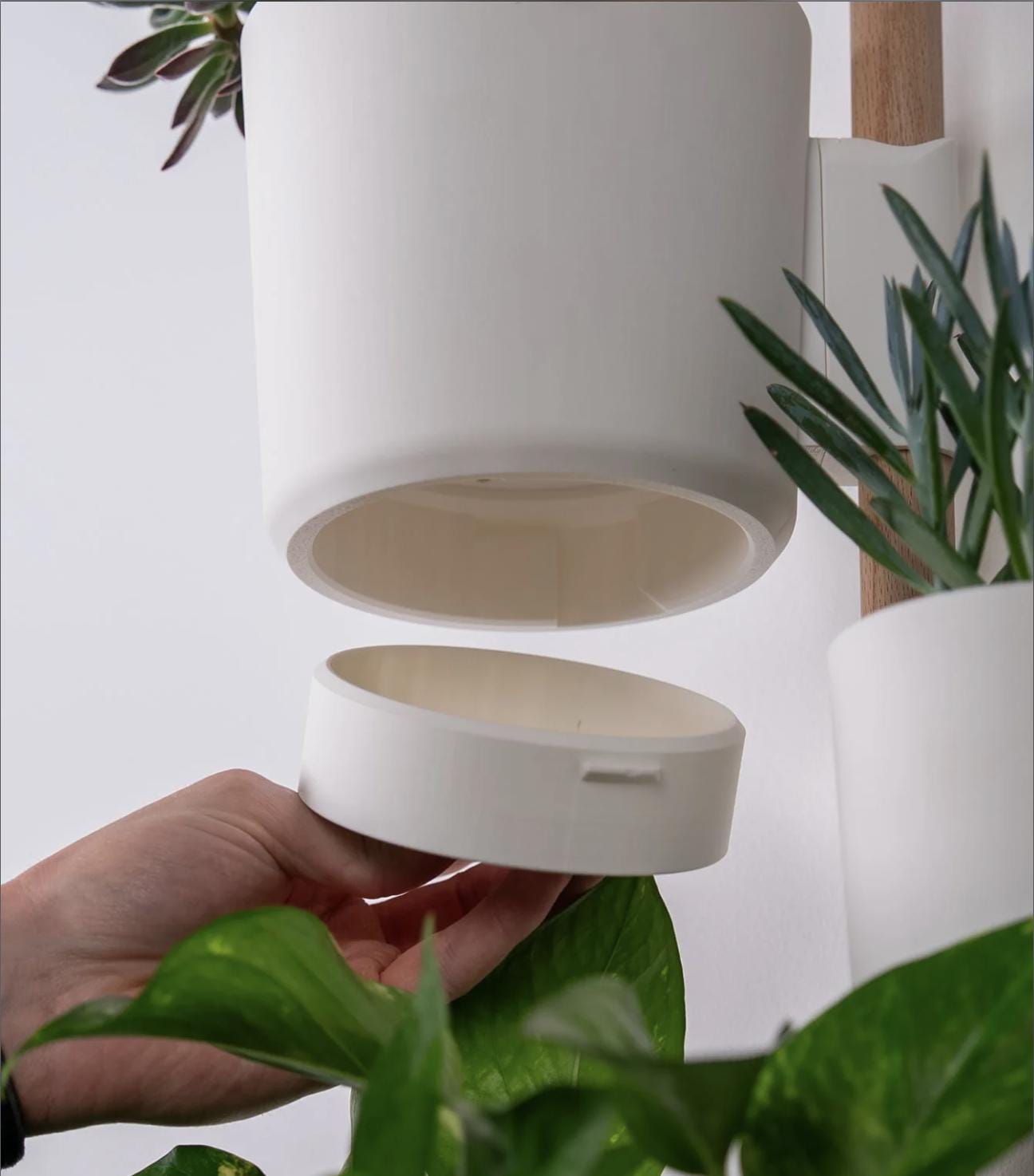 The Rail V2 - Modular Wall Planter – Vertical Herb & Houseplant Display - Pine Dowel Included