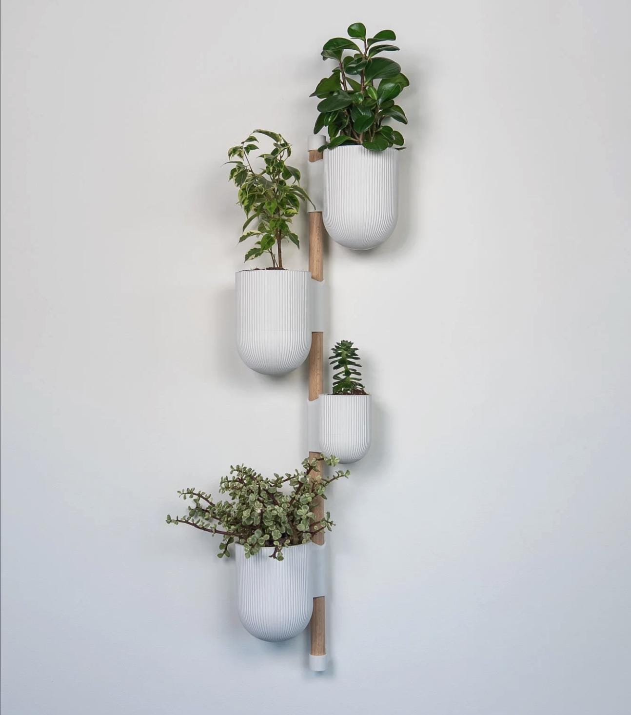 The Ira Vertical Rail Planter: Wall Mounted System (Including Pine Rail Dowel)