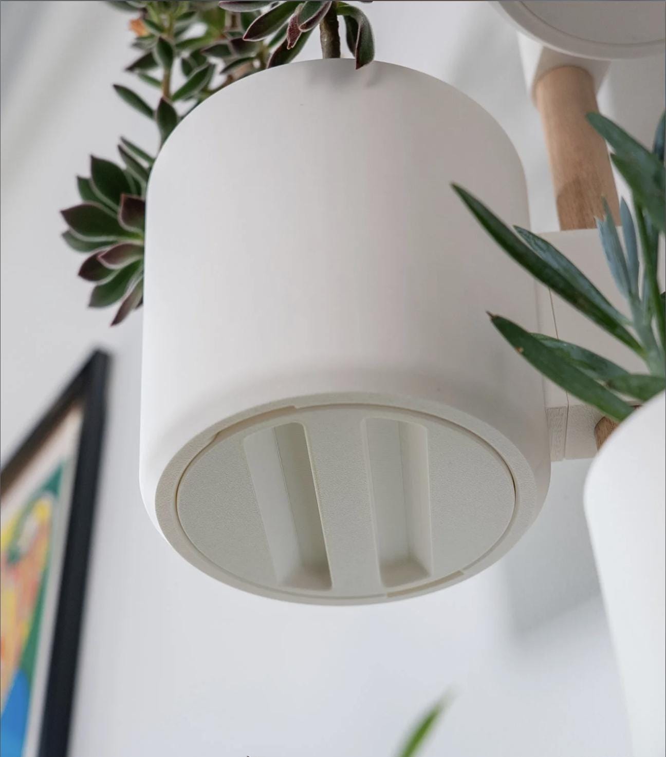 The Rail V2 - Modular Wall Planter – Vertical Herb & Houseplant Display - Pine Dowel Included