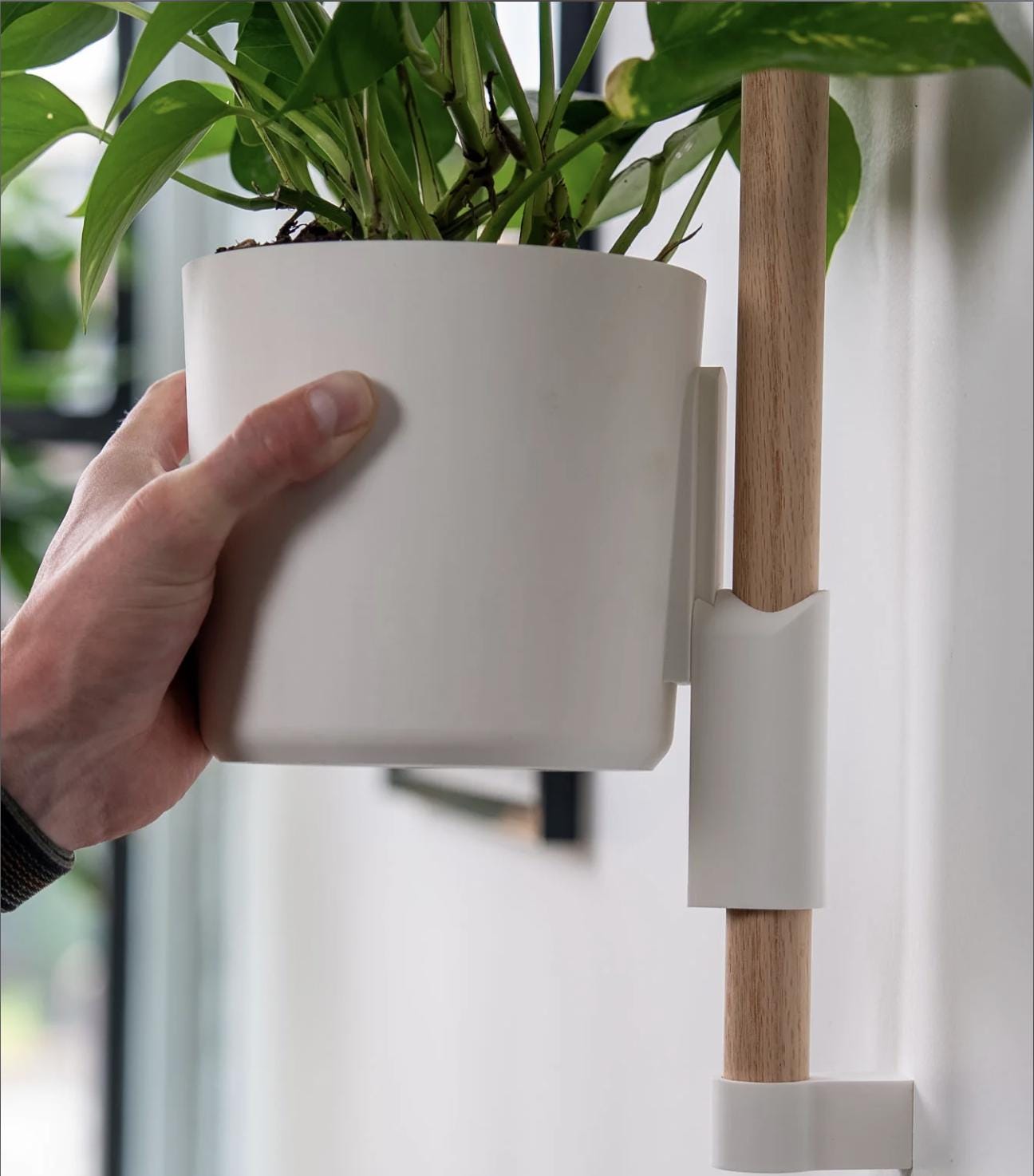 The Rail V2 - Modular Wall Planter – Vertical Herb & Houseplant Display - Pine Dowel Included
