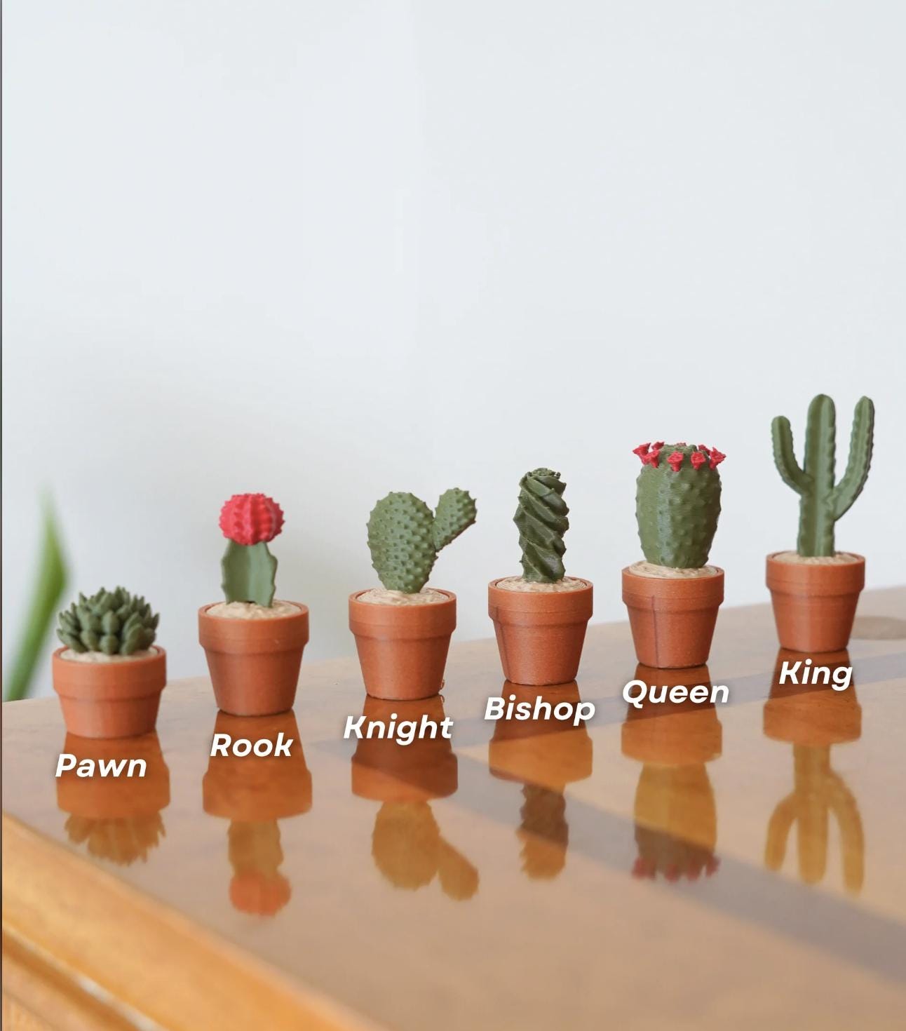 CactiChess – the Roll-Up Cactus Chess Set