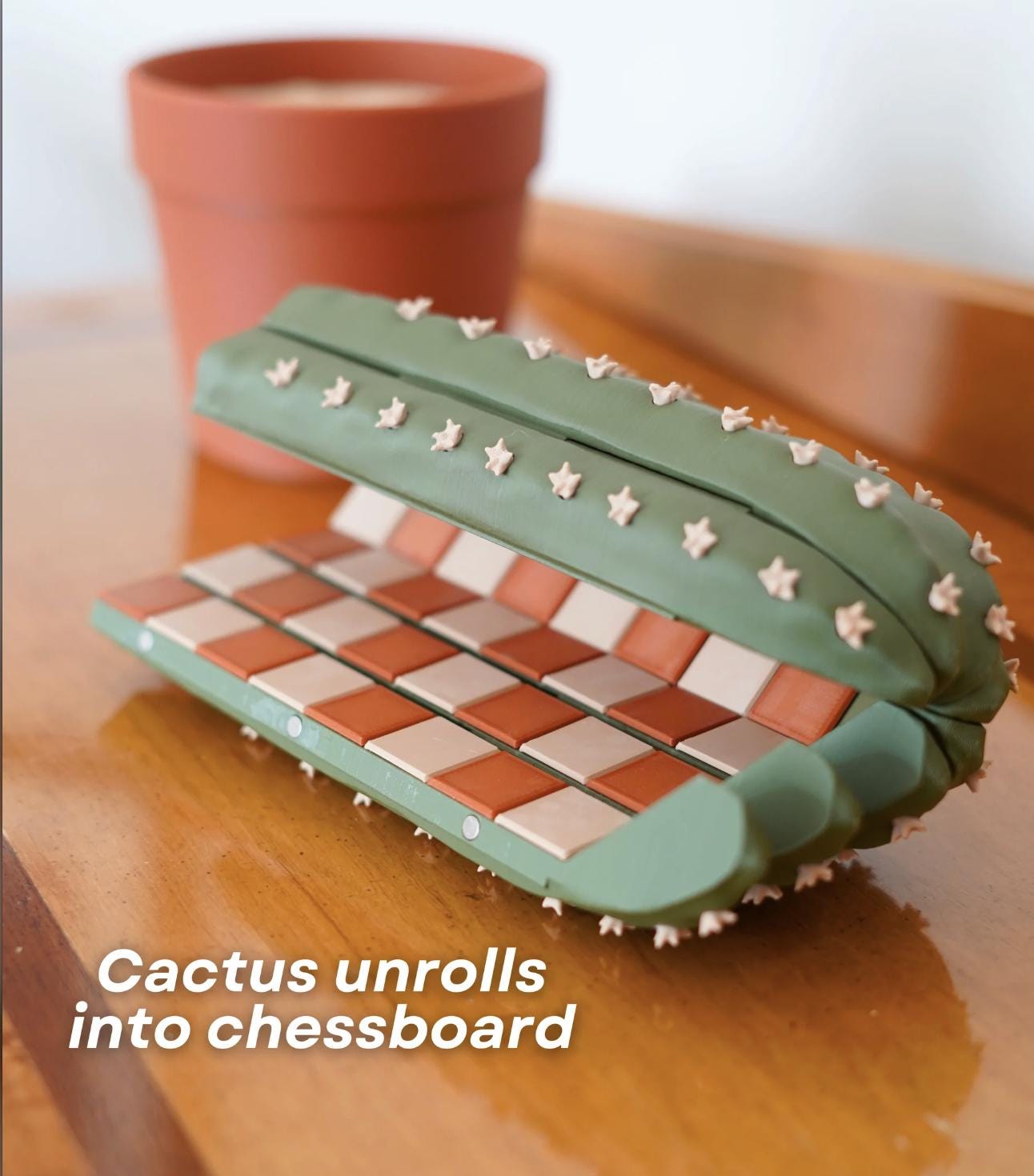 CactiChess – the Roll-Up Cactus Chess Set
