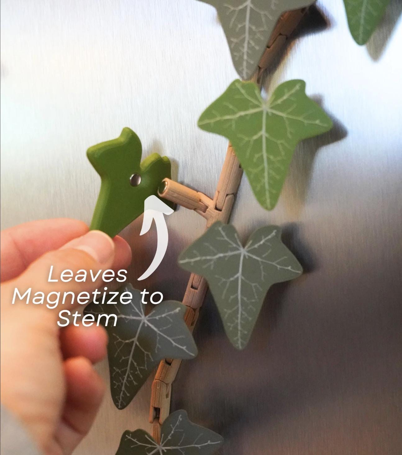 Ivy Fridge Magnet Set – English Green or Autumn Red | Articulated Vine with Magnetic Leaves