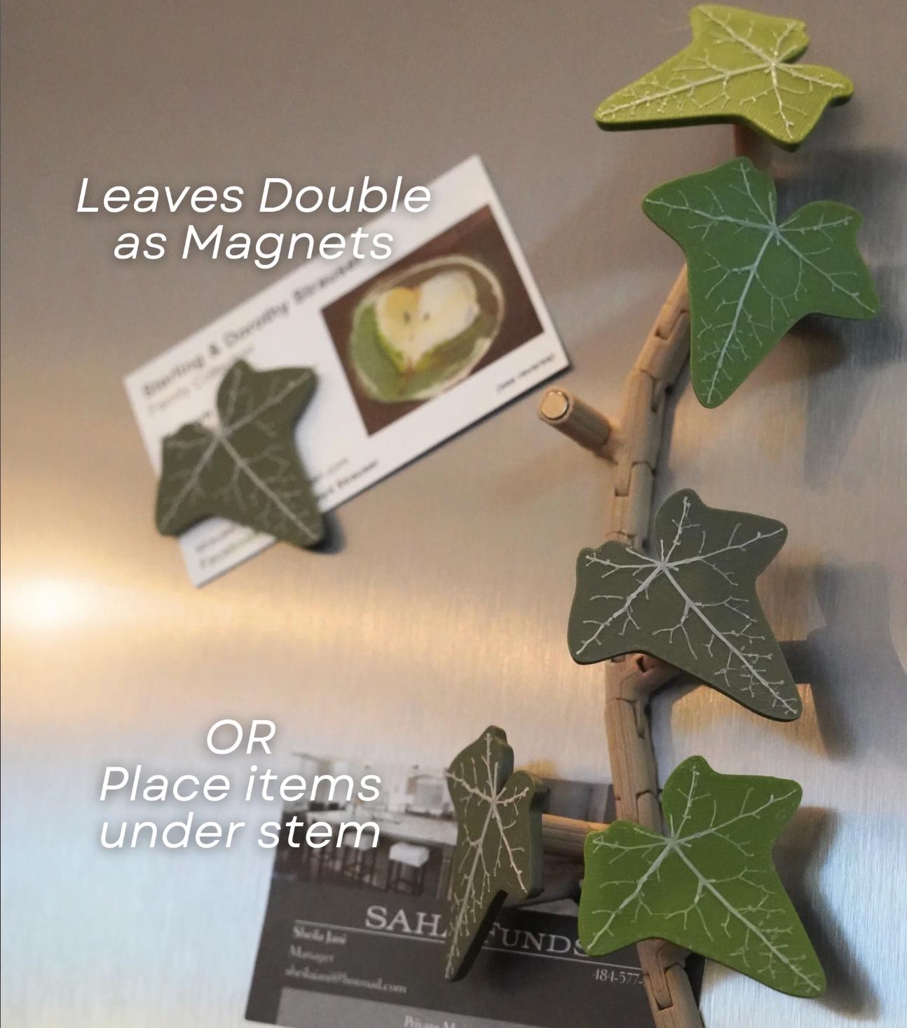 Ivy Fridge Magnet Set – English Green or Autumn Red | Articulated Vine with Magnetic Leaves