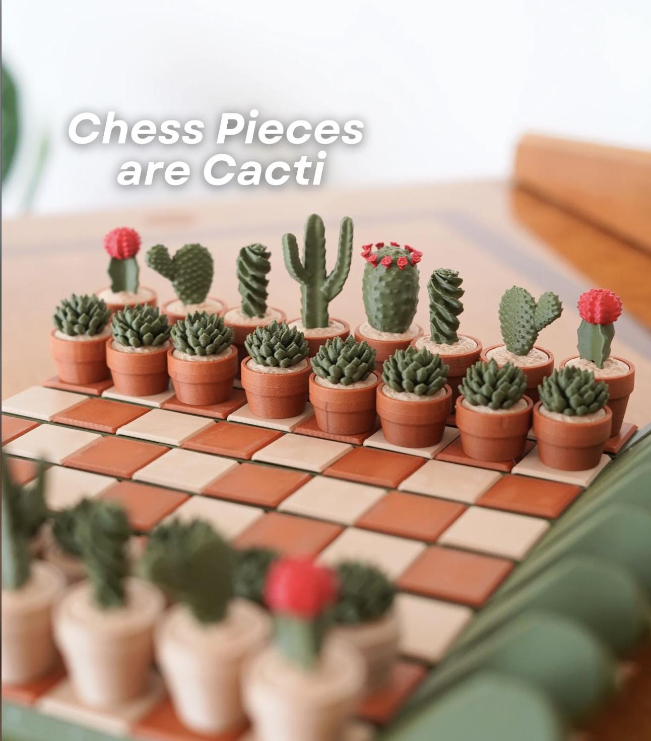 CactiChess – the Roll-Up Cactus Chess Set